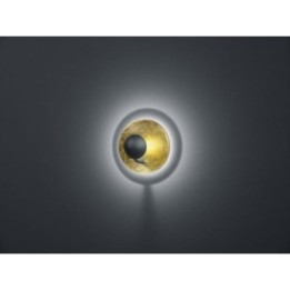AURORA 223810279