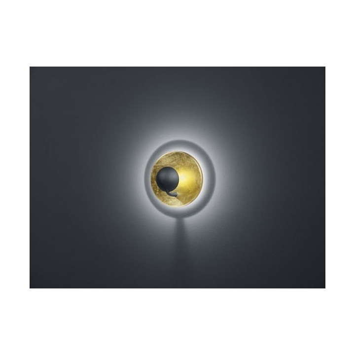 AURORA 223810279