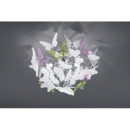 BUTTERFLY R60213017