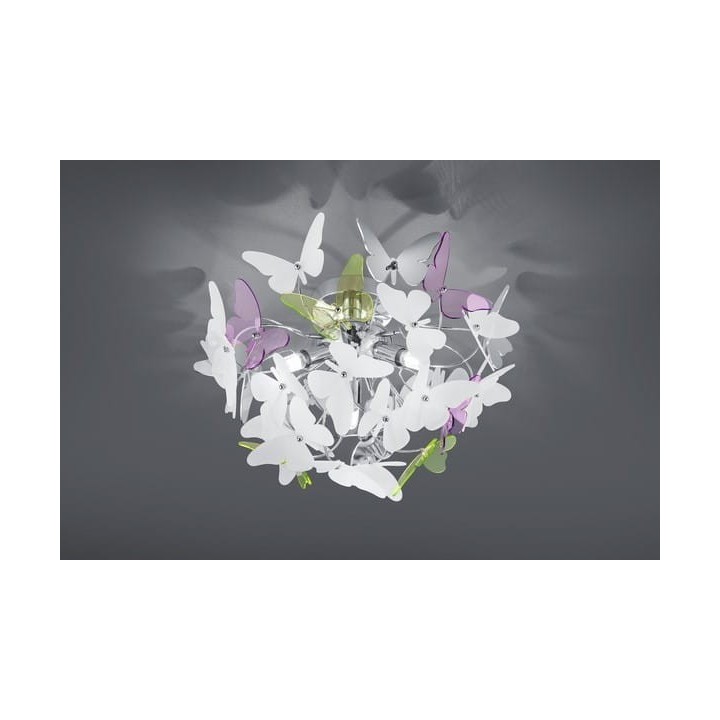 BUTTERFLY R60213017