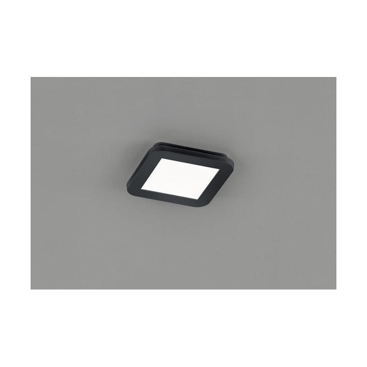 CAMILLUS R62931032
