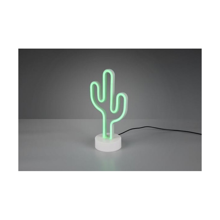 CACTUS R55220101