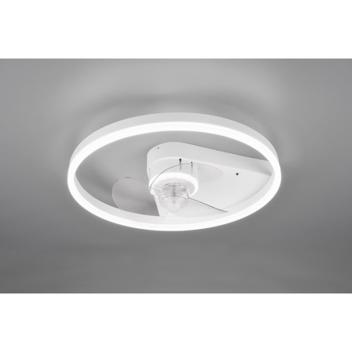 BORGHOLM R67083131