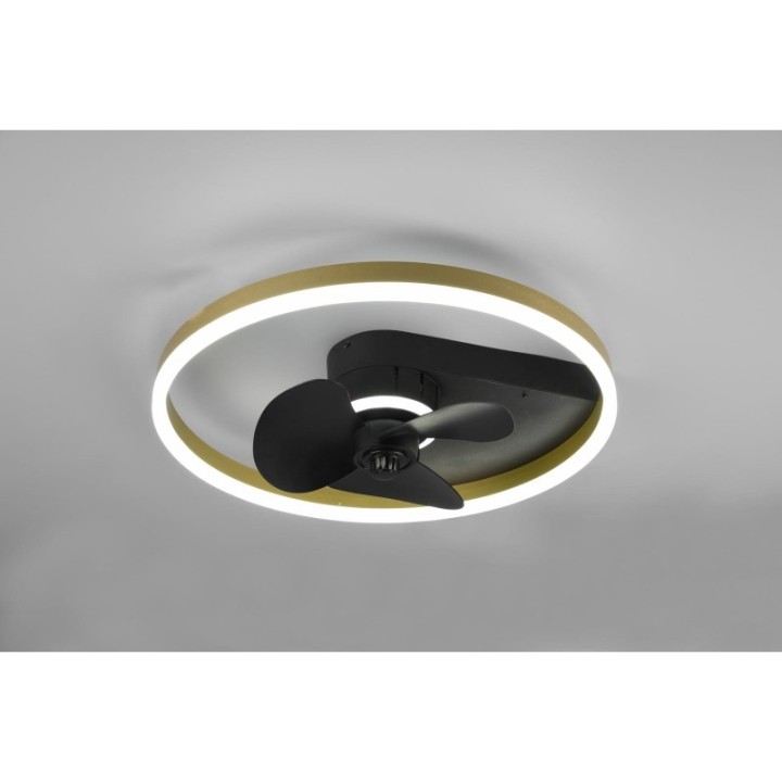 BORGHOLM R67083132
