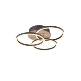 CIRCLE R62823135