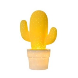 CACTUS 13513/01/34
