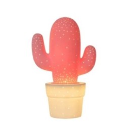 CACTUS 13513/01/66