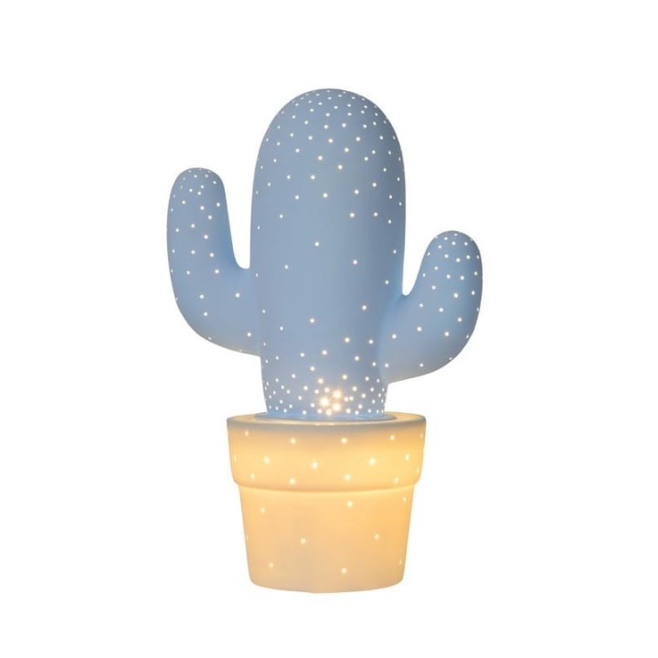CACTUS 13513/01/68
