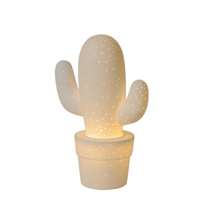 CACTUS 13513/01/31