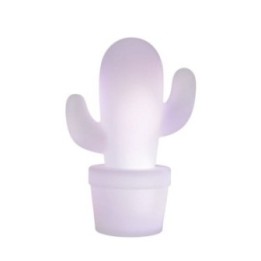 CACTUS 13813/02/31