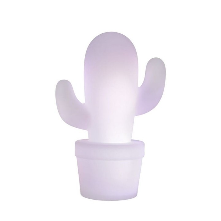 CACTUS 13813/02/31
