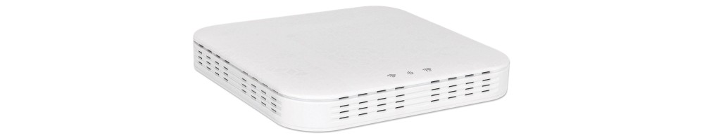 Access Point/Router Intellinet WLAN Dual-Band AC1300 PoE PD USB